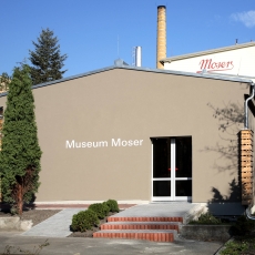 Kultura Muzeum Moser
